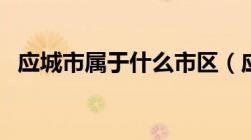 应城市属于什么市区（应城市属于什么市）