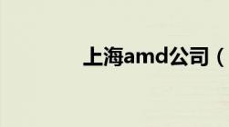 上海amd公司（amd公司）