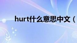 hurt什么意思中文（hurt什么意思）