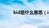 kid是什么意思（id是什么意思）