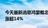 今天最新消息鸿蒙概念股继续活跃 润和软件涨超14%