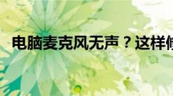 电脑麦克风无声？这样修复轻松解决问题！