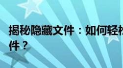 揭秘隐藏文件：如何轻松查看隐藏文件夹与文件？