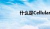 什么是Cellular版的含义？