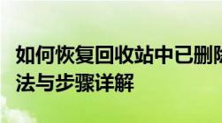 如何恢复回收站中已删除的文件？数据恢复方法与步骤详解