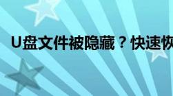 U盘文件被隐藏？快速恢复隐藏文件的方法