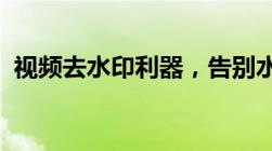 视频去水印利器，告别水印烦恼的必备工具