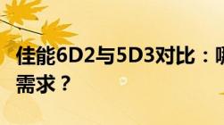 佳能6D2与5D3对比：哪一款相机更适合你的需求？