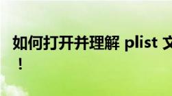 如何打开并理解 plist 文件？一篇文章全解析！