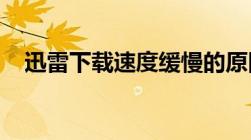 迅雷下载速度缓慢的原因分析及解决方案