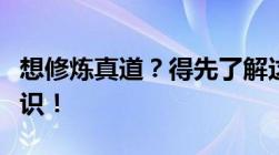 想修炼真道？得先了解这些关于修真道童的知识！