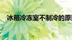 冰箱冷冻室不制冷的原因分析及解决方法