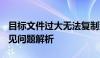 目标文件过大无法复制到U盘：解决方案与常见问题解析