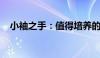 小袖之手：值得培养的理由与全方位解析