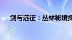 剑与远征：丛林秘境探险攻略路线详解