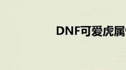 DNF可爱虎属性大解析