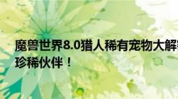 魔兽世界8.0猎人稀有宠物大解密：独家攻略助你轻松捕获珍稀伙伴！