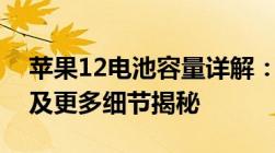 苹果12电池容量详解：容量大小、续航表现及更多细节揭秘