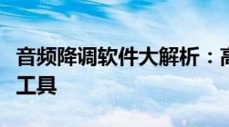 音频降调软件大解析：高效、音质优良的必备工具