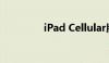 iPad Cellular版详细解析