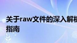 关于raw文件的深入解析：概念、用途及操作指南