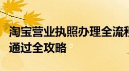 淘宝营业执照办理全流程详解：从申请到审核通过全攻略