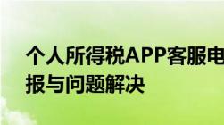 个人所得税APP客服电话全解析：查询、申报与问题解决