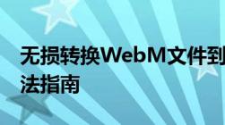 无损转换WebM文件到MP4：免费高效的方法指南