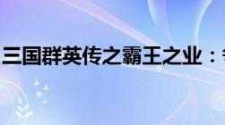 三国群英传之霸王之业：争霸之路与英雄崛起