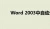 Word 2003中自动生成目录的指南